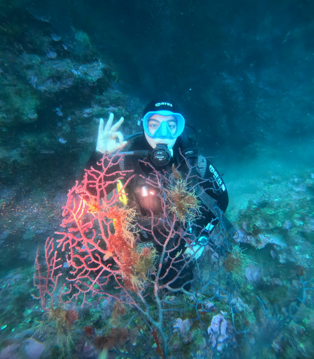 Gorgone rouge et plongeur Star Diving